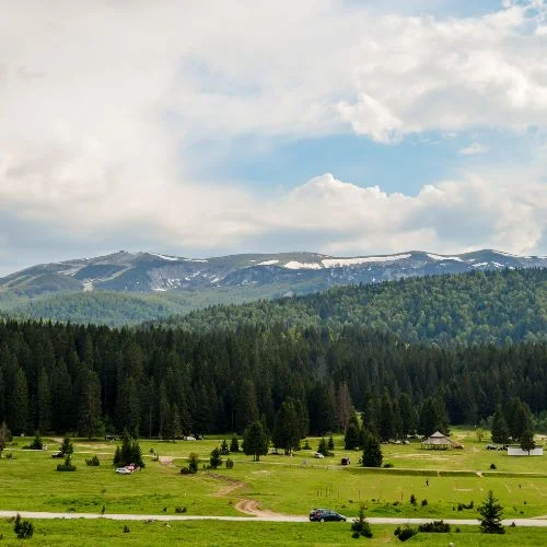 Pogled na veliko polje na Igmanu