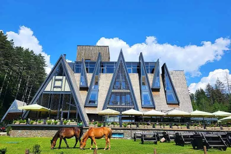 Pino Nature Hotel — Trebević