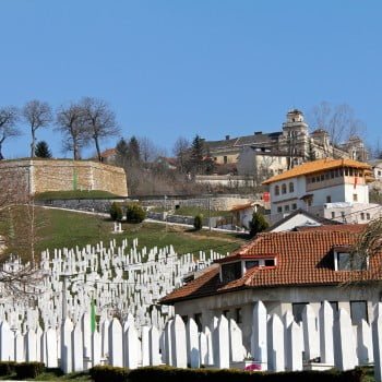 ​Žuta tabija