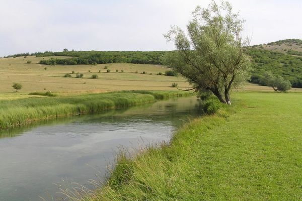 priroda livna, rjeka i livada