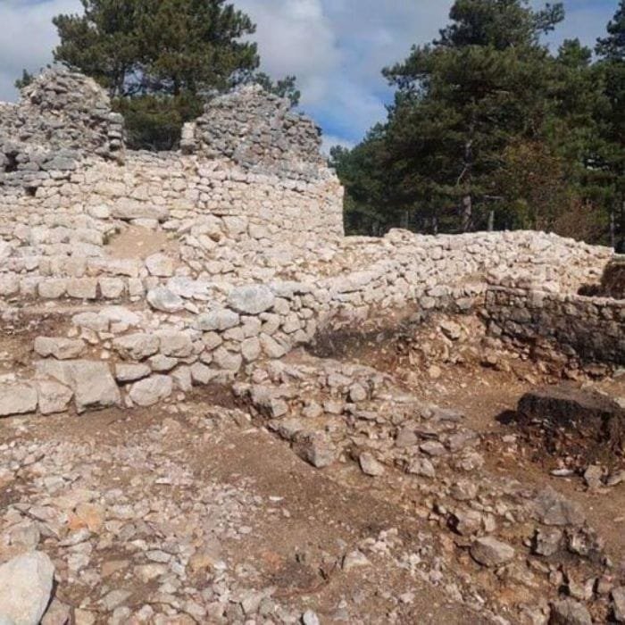 Stari grad Livno, poznat i kao Bistrički grad, jedno je od najstarijih urbanih područja na teritoriji današnjeg Livna, smješteno ispod stijena Crvenice, na izvoru rijeke Bistrice