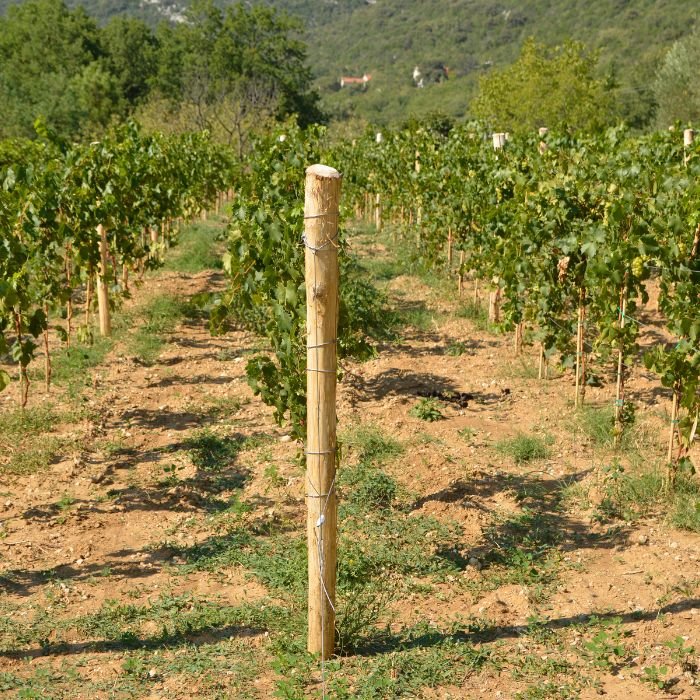 vodopad Kravice